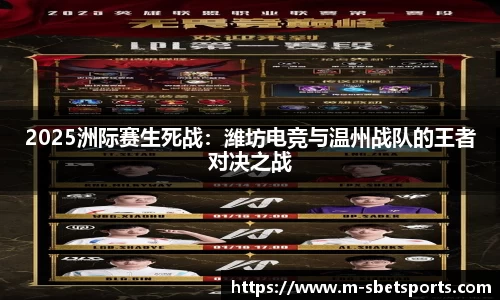 实博体育
